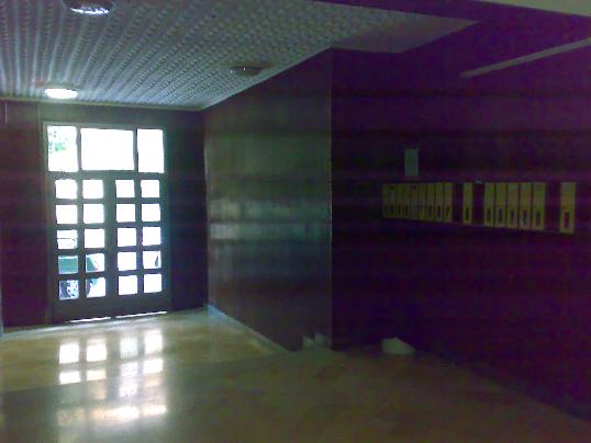 ingresso del palazzo